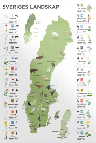 Politik och Geografi